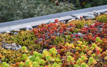 the cost of Tipps End green roof installation