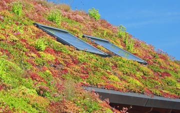 Tipps End living roof systems